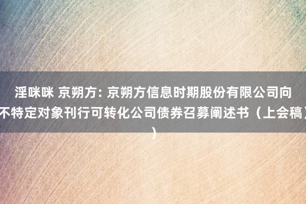 淫咪咪 京朔方: 京朔方信息时期股份有限公司向不特定对象刊行可转化公司债券召募阐述书(上会稿)