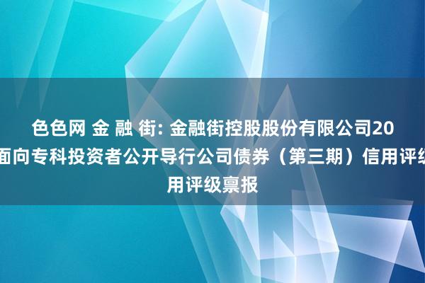 色色网 金 融 街: 金融街控股股份有限公司2024年面向专科投资者公开导行公司债券(第三期)信用评级禀报