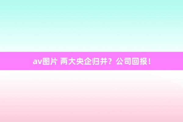 av图片 两大央企归并？公司回报！
