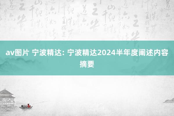 av图片 宁波精达: 宁波精达2024半年度阐述内容摘要