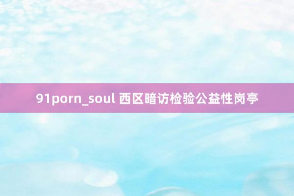 91porn_soul 西区暗访检验公益性岗亭