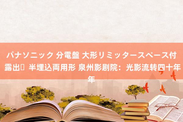パナソニック 分電盤 大形リミッタースペース付 露出・半埋込両用形 泉州影剧院：光影流转四十年