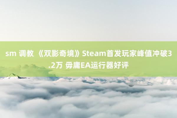 sm 调教 《双影奇境》Steam首发玩家峰值冲破3.2万 毋庸EA运行器好评