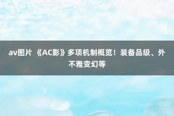 av图片 《AC影》多项机制概览！装备品级、外不雅变幻等