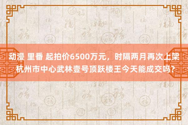 动漫 里番 起拍价6500万元，时隔两月再次上架 杭州市中心武林壹号顶跃楼王今天能成交吗？