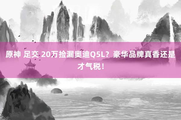 原神 足交 20万捡漏奥迪Q5L？豪华品牌真香还是才气税！